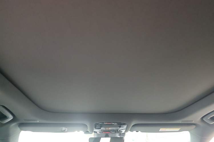 Used Lexus RX 2023 350h Four-Wheel Drive Enjoyment Version Headliner