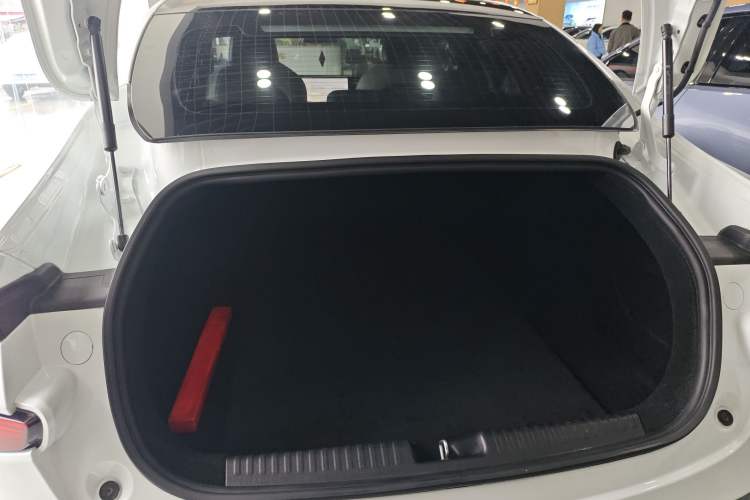 Used XPeng P7 2021 480N
