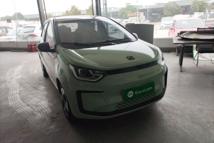 Used SOL E10X 2022 Flower Fairy Design Four-Leaf Clover
