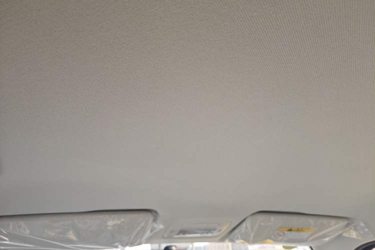 Used Cowin October 2025 Mate 300km Surfing Edition