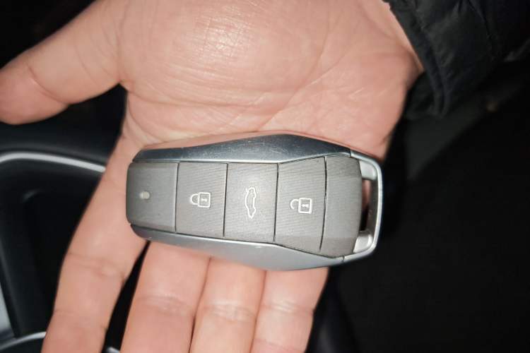 Used SOL E10X 2022 Flower Fairy Style Baby's Breath