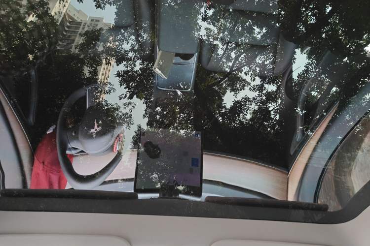 Used Tesla Model Y 2021 Long-Range All-Wheel-Drive Version Headliner