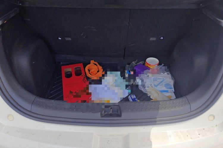 Used BYD Dolphin 2023 420 km Fashion Edition