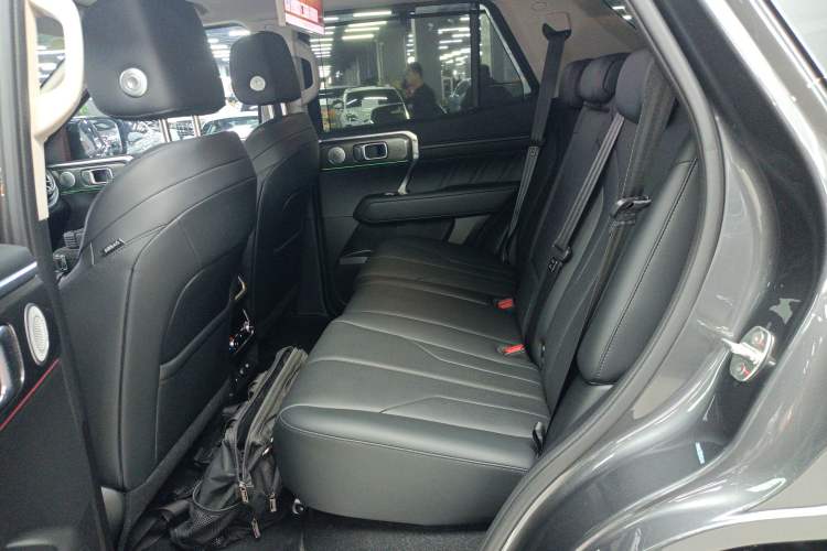 Used Tank 400 New Energy 2026 Model—Hi4-T Smart Enjoyment Version Left Rear Seat