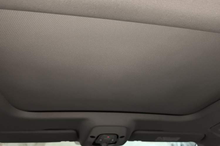 Used Audi A6L 2020 40 TFSI Luxury Prestige Edition Headliner