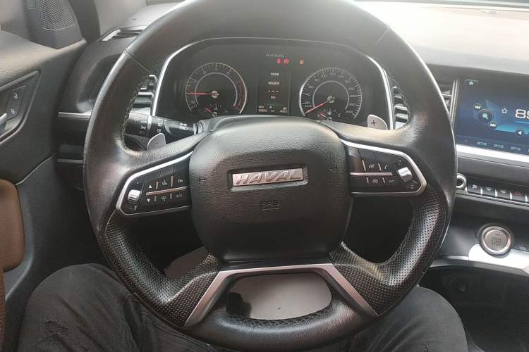 Used Haval H6 2017 Blue Label 2.0T Automatic Two-Wheel Drive Smart Edition