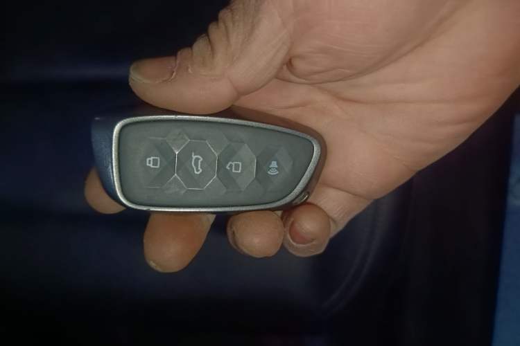 Used Haval H Dog New Energy 2024 Hi4 102km Trend Electric Version Plus