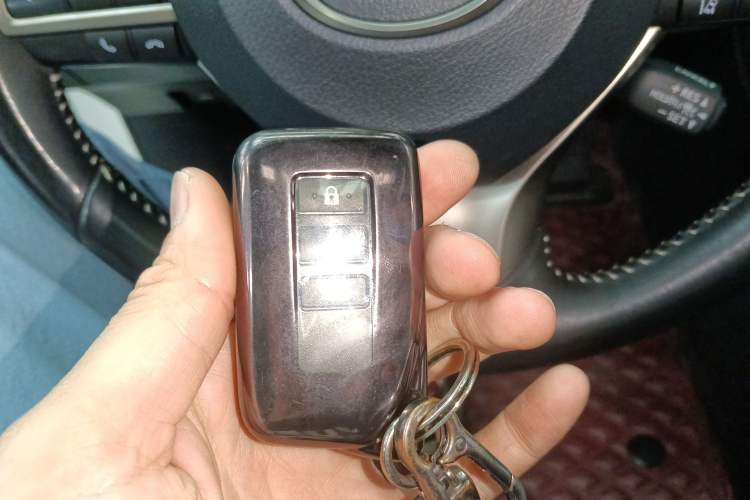 Used Lexus RX 2020 300 4x4 Elegant Edition China VI