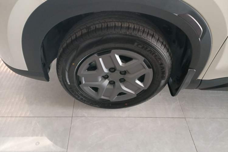 Used BYD Yuan UP 2025 Model 301KM Leading Version
