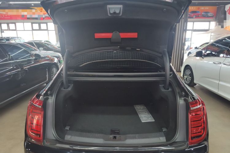 Used Hongqi H9 2020 2.0T Smart Connect Flagship Edition
