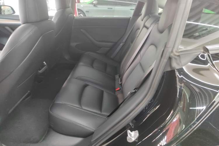 Used Tesla Model 3 2022 Rear-Wheel-Drive Version