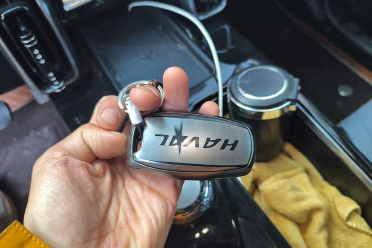 Used Haval DARGO 2021 2.0T DCT 4x4 Chinese Rural Dog Edition Interior 1