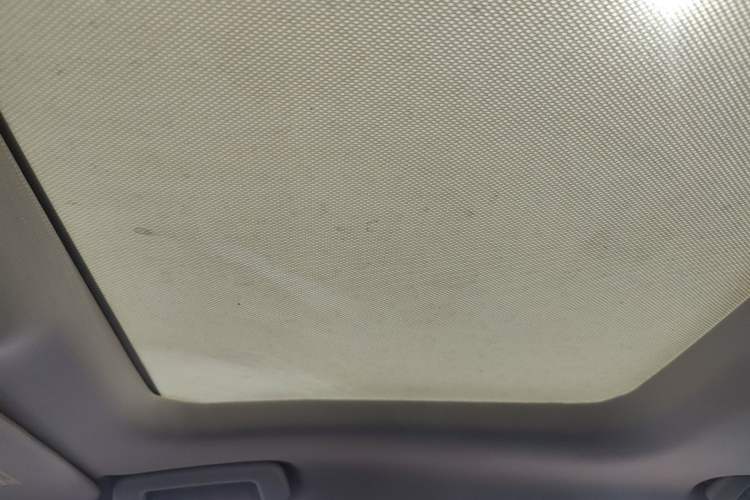 Used Ford Focus 2019 Sedan EcoBoost 180 Automatic Trend Edition Headliner