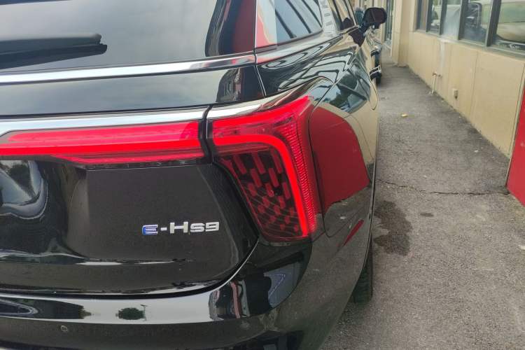 Used Hongqi E-HS9 2022 660 km Range Flagway Edition Six Seats
