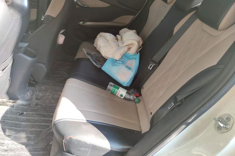 Used BYD Dolphin 2023 420 km Free Version Left Rear Seat