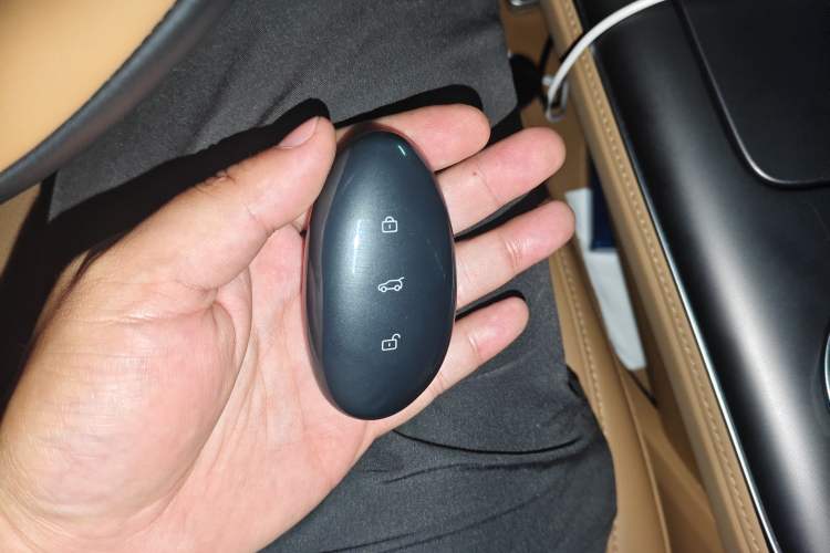Used Rising F7 2023 Advanced Edition Vehicle Key