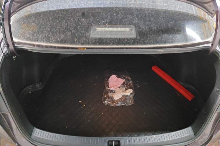 Used Toyota Levin 2019 Dual-Engine 1.8H E-CVT Luxury Edition China VI Standard
