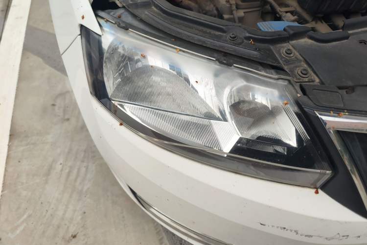 Used Skoda Rapid 2013 1.6L Manual Smart Selection Model Right Front Headlight