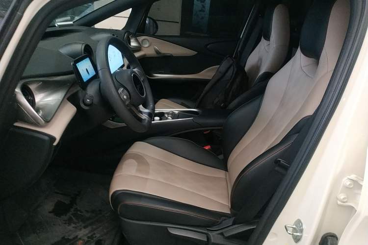 Used BYD Dolphin 2025 420km Active Version Left Front Seat