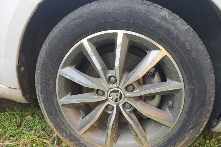 Used Skoda Octavia 2019 1.5L Automatic SmartDrive Comfort Edition China V Standard