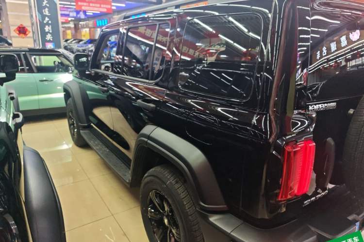 Used Tank 300 2024 2.0T Conqueror