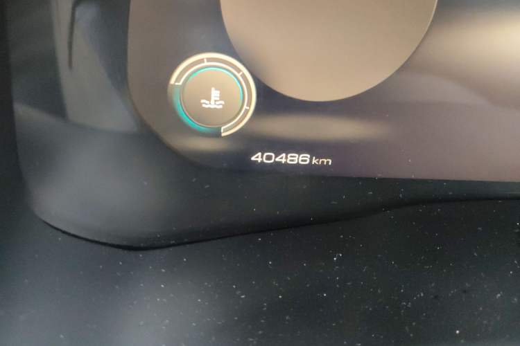 Used Wey VV5 2021 1.5T Two-Wheel Drive Smart Pioneer Odometer Close Up