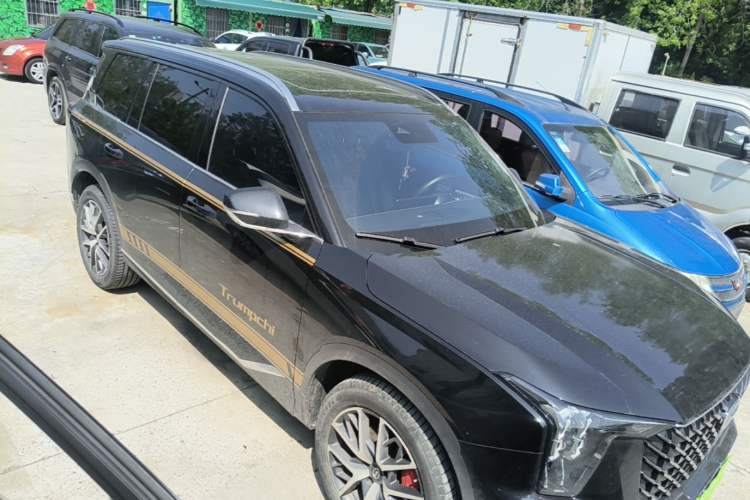 Used GAC Trumpchi GS8 2022 Linghang Series 2.0 TGDI Two-Wheel-Drive Luxury Smart Connectivity Version (7 Seats)