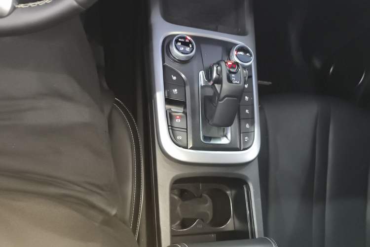 Used Tank 300 2024 2.0T Crosser
