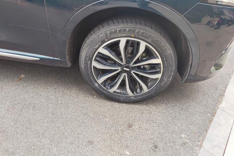 Used Wey Mocha 2021 2.0T Two-Wheel-Drive Ultra-Strong Version