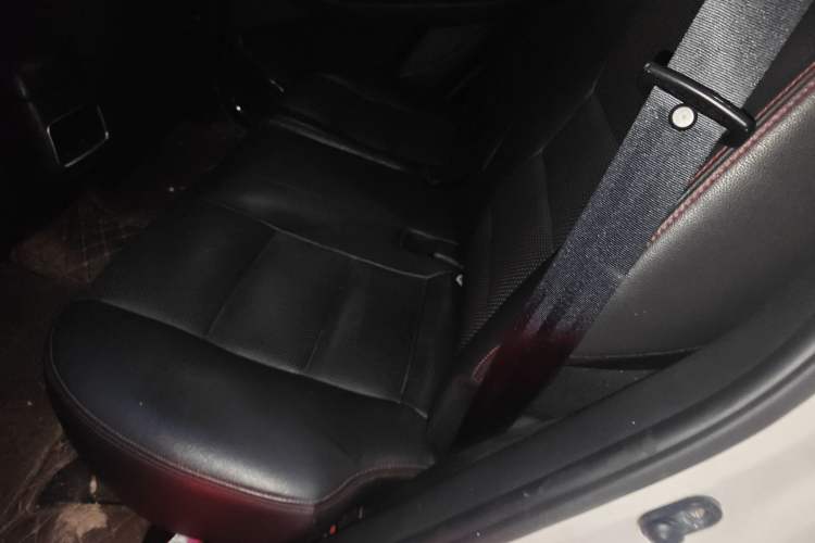 Used Leopaard CS10 2017 2.0T Manual Excellence Edition