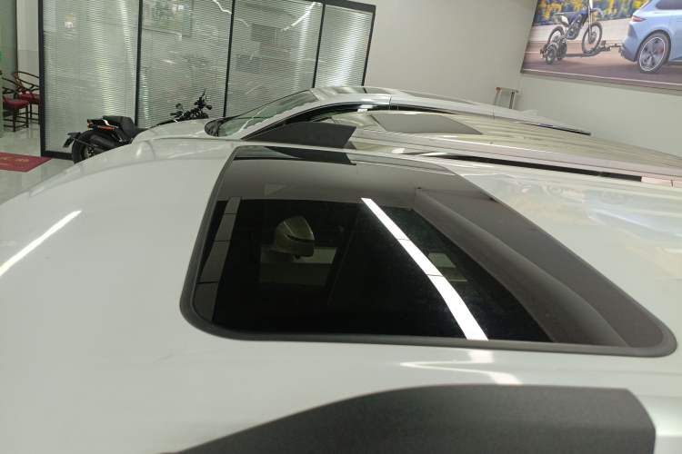 Used Tank 300 2021 City Edition 2.0T—Truly Stylish Roof