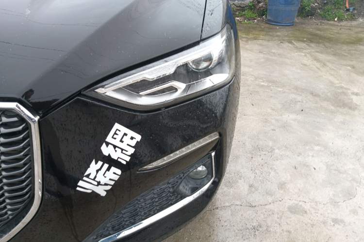 Used Haval F5 2019 National Trend Edition 1.5T i-Trend China VI Standard Left Front Headlight