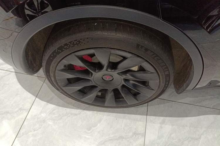 Used Tesla Model Y 2021 Standard Range Rear-Wheel Drive Version Exterior 5