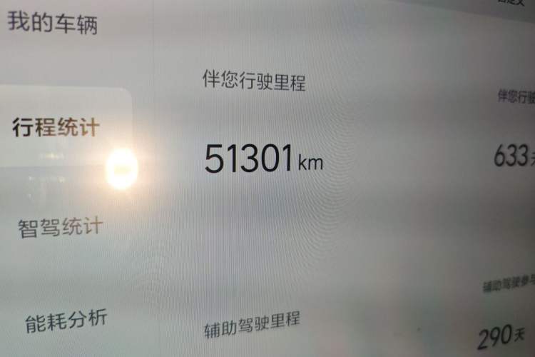 Used Li Auto L9 2023 Pro Model
