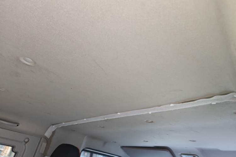 Used SRM New Energy E3 2025 Fudi 310KM Practical Passenger Vehicle Headliner