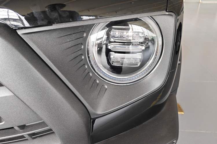 Used Haval DARGO 2024 2.0T DCT Chinese Rural Dog Edition
