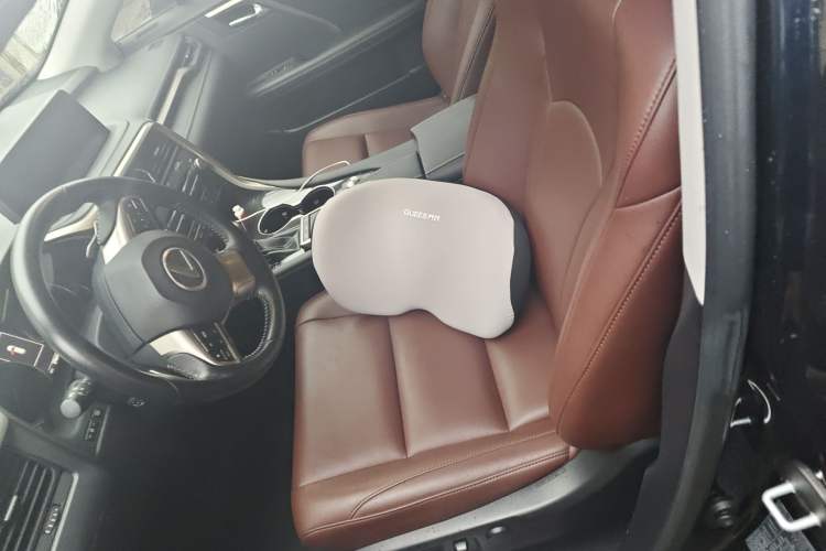 Used Lexus RX 2020 Revised Version 300 Two-Wheel Drive Elite Edition Left Front Seat