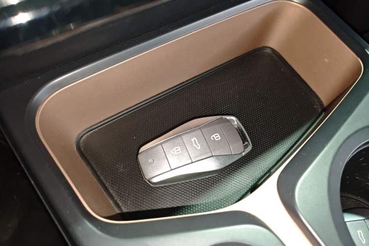 Used SOL E10X 2022 Flower Fairy Style Baby's Breath