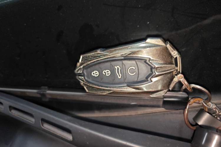 Used Hongqi H9 2020 2.0T Smart Connect Flagship Edition