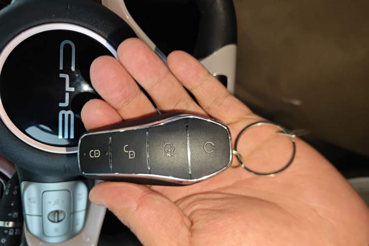 Used BYD Seagull 2023 Active Version Vehicle Key