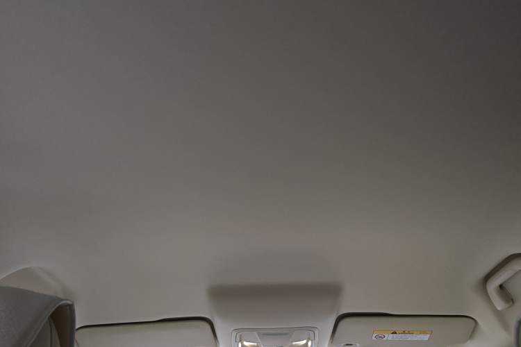 Used ORA Good Cat 2023 401 km Standard Range Luxury Version Lithium Iron Phosphate Headliner