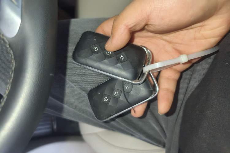 Used Wuling Xingyun 2023 2.0L DHT Flagship Edition
