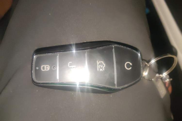 Used BYD Yuan UP 2024 401KM Leading Edition
