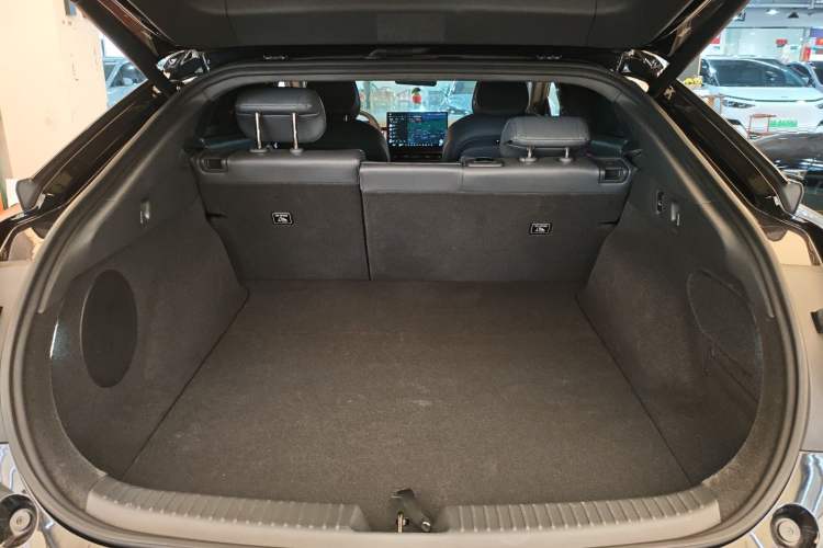 Used XPeng P7+ 2024 Long-Range Max