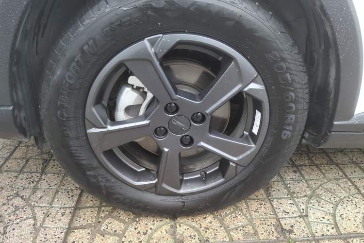 Used Geometry E Firefly 2023 401KM Linglong Tiger 5-Seater