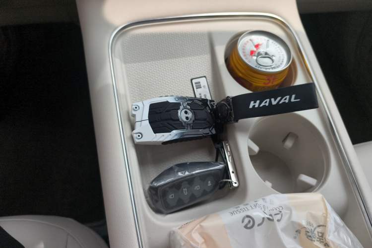 Used Haval H6 2024 1.5T Two-Wheel Drive Max