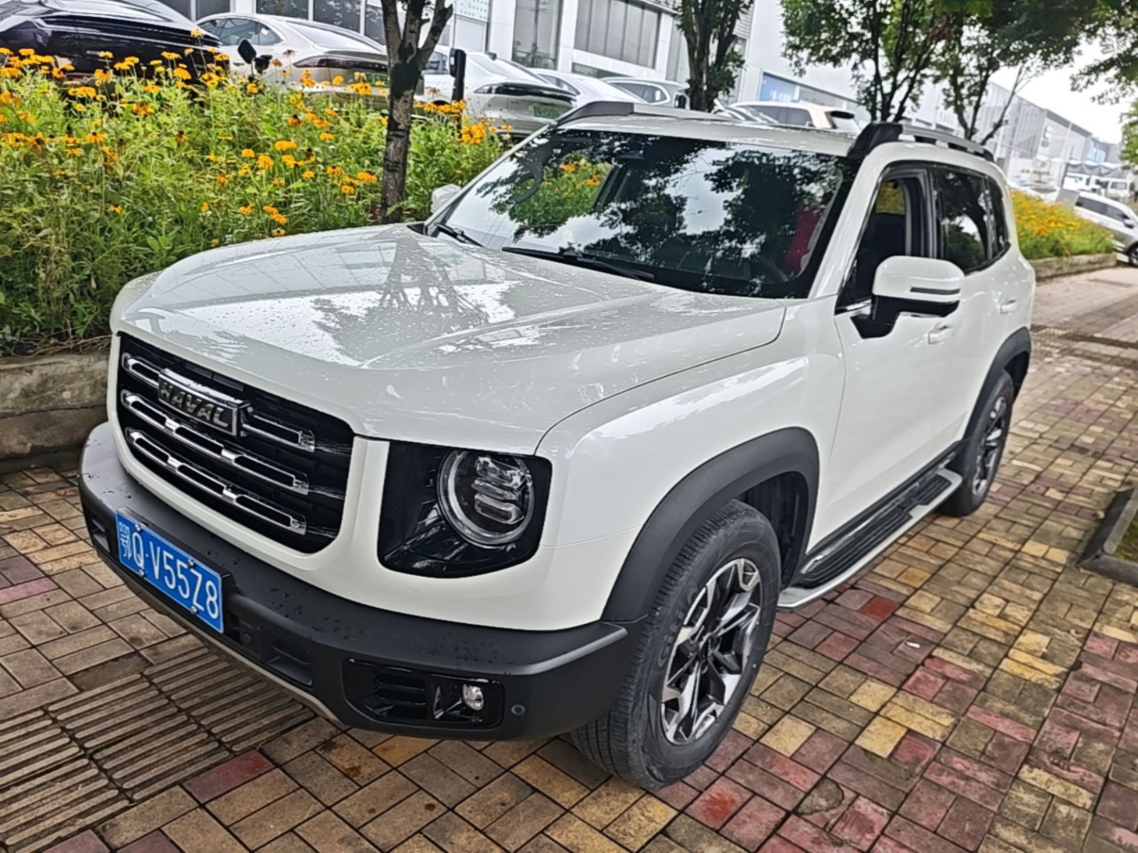 Under Front Bumper
