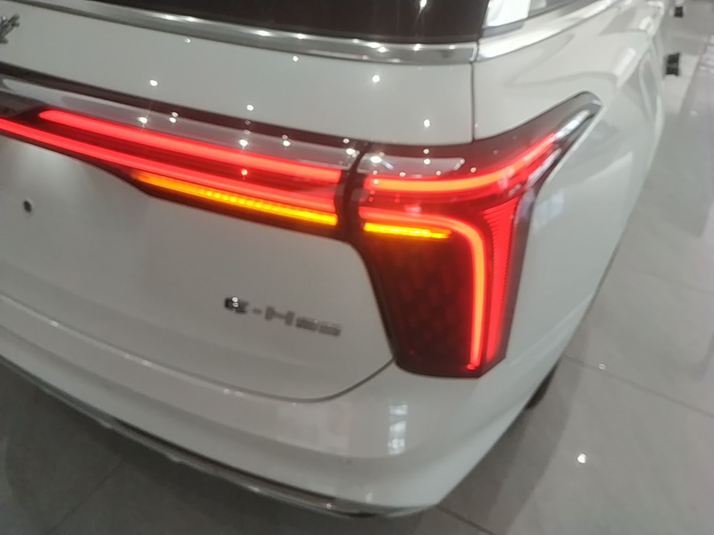 Hongqi E-HS9 2022 660 km Range Flagway Edition Six Seats — снимка 9