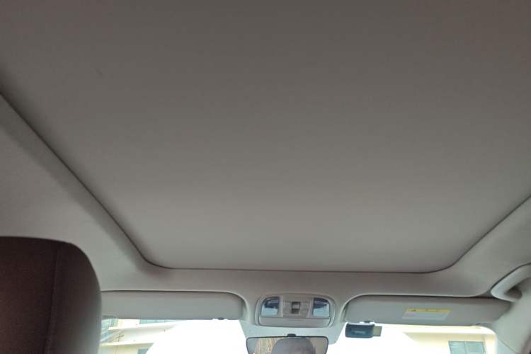 Used Kia Sportage R 2021 Ace 2.0L Splendid Edition Headliner