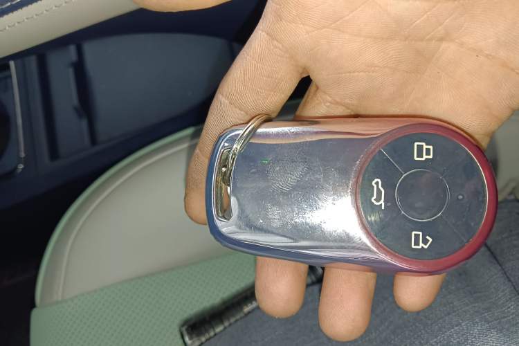 Used ORA Ballet Cat 2022 401 km Nutcracker Edition Interior 1